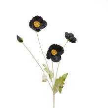 Load image into Gallery viewer, Faux Poppy - Black
