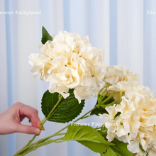 Load image into Gallery viewer, 5 Heads Hydrangea Bouquet - Cream
