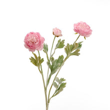 Load image into Gallery viewer, Faux Ranunculus - Pink
