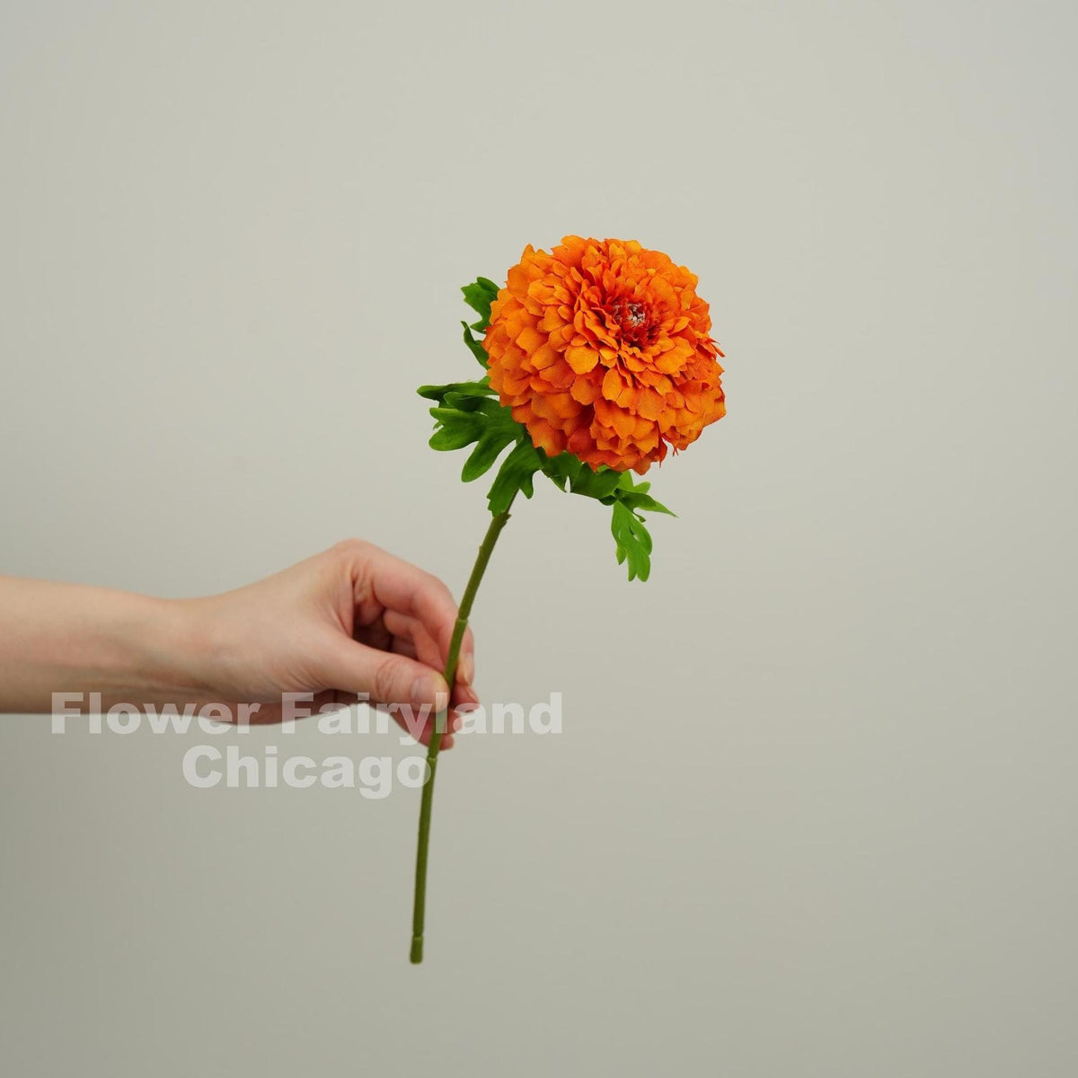 Faux Marigold Tagetes Erecta Stem - Dark Orange