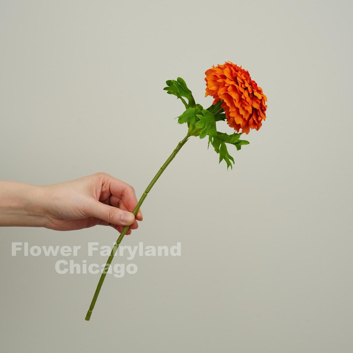Faux Marigold Tagetes Erecta Stem - Dark Orange
