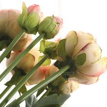 Load image into Gallery viewer, 32&quot; 8 Stems Dried Peony Bouquet
