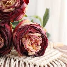 Load image into Gallery viewer, 32&quot; 8 Stems Dried Peony Bouquet
