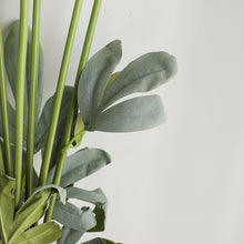 Load image into Gallery viewer, 32&quot; 8 Stems Dried Peony Bouquet
