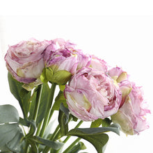 Load image into Gallery viewer, 32&quot; 8 Stems Dried Peony Bouquet
