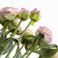 Load image into Gallery viewer, 32&quot; 8 Stems Dried Peony Bouquet
