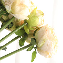 Load image into Gallery viewer, 32&quot; 8 Stems Dried Peony Bouquet
