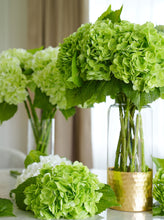 Load image into Gallery viewer, Real Touch Huge Faux Hydrangea Stem - Green
