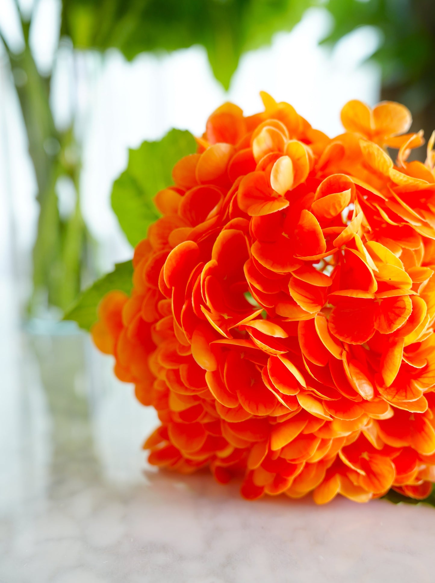 Real Touch Huge Hydrangea Stem - Orange