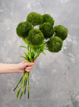 Load image into Gallery viewer, 20&quot; Faux Dianthus Green Ball Stem
