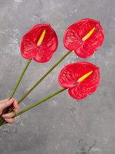 Load image into Gallery viewer, 24&quot; Real Touch Faux Anthurium - Red
