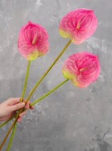 Load image into Gallery viewer, 24&quot; Real Touch Faux Anthurium - Pink
