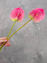 Load image into Gallery viewer, 24&quot; Real Touch Faux Anthurium - Pink
