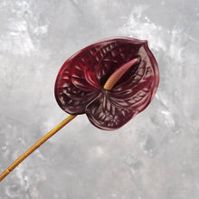 Load image into Gallery viewer, 24&quot; Real Touch Faux Anthurium - Dark Blood
