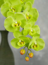 Load image into Gallery viewer, 38&quot; Real Touch 9 Heads Orchid Stem - Green
