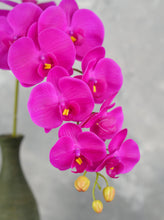 Load image into Gallery viewer, 38&quot; Real Touch 9 Heads Orchid Stem - Magenta
