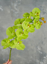 Load image into Gallery viewer, 38&quot; Real Touch 9 Heads Orchid Stem - Green
