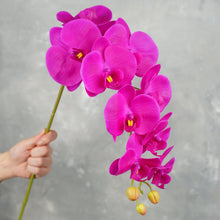 Load image into Gallery viewer, 38&quot; Real Touch 9 Heads Orchid Stem - Magenta
