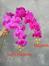 Load image into Gallery viewer, 38&quot; Real Touch 9 Heads Orchid Stem - Magenta
