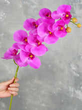 Load image into Gallery viewer, 38&quot; Real Touch 9 Heads Orchid Stem - Light Magenta
