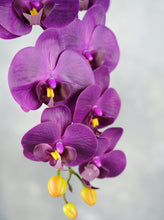 Load image into Gallery viewer, 38&quot; Real Touch 9 Heads Orchid Stem - Dark Grape Purple
