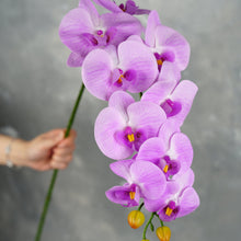 Load image into Gallery viewer, 38&quot; Real Touch 9 Heads Orchid Stem - Light Purple
