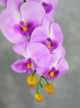 Load image into Gallery viewer, 38&quot; Real Touch 9 Heads Orchid Stem - Light Purple
