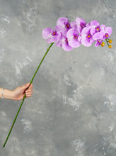 Load image into Gallery viewer, 38&quot; Real Touch 9 Heads Orchid Stem - Light Purple
