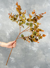 Load image into Gallery viewer, 28“ Eucalyptus Leaf Branch - Orange
