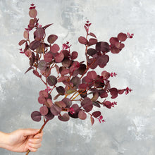 Load image into Gallery viewer, 28“ Eucalyptus Leaf Branch - Purple
