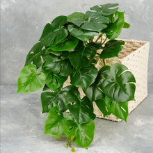 Load image into Gallery viewer, 16&quot; Faux Turtle Leaf Hanging Plant
