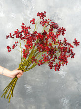 Load image into Gallery viewer, 29&quot; Faux Cranberry Stem
