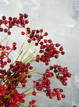 Load image into Gallery viewer, 29&quot; Faux Cranberry Stem
