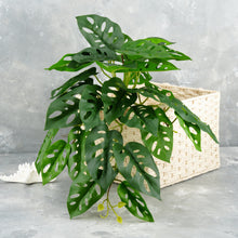 Load image into Gallery viewer, 16&quot; Faux Monstera Adansonii Hanging Plant
