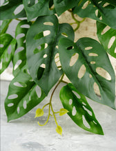 Load image into Gallery viewer, 16&quot; Faux Monstera Adansonii Hanging Plant
