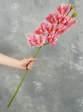 Load image into Gallery viewer, 29&quot; 10 Heads Cymbidium Hybrid Orchid Stem - Pink
