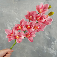 Load image into Gallery viewer, 29&quot; 10 Heads Cymbidium Hybrid Orchid Stem - Pink
