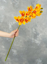 Load image into Gallery viewer, 29&quot; 10 Heads Cymbidium Hybrid Orchid Stem - Yellow
