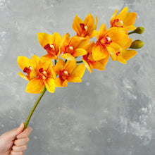 Load image into Gallery viewer, 29&quot; 10 Heads Cymbidium Hybrid Orchid Stem - Yellow
