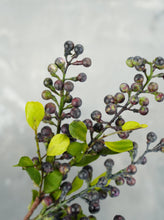 Load image into Gallery viewer, 21&quot; Faux Berry Stem - Blue
