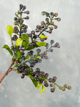 Load image into Gallery viewer, 21&quot; Faux Berry Stem - Blue
