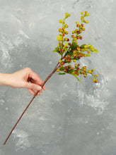 Load image into Gallery viewer, 21&quot; Faux Berry Stem - Red &amp; Green
