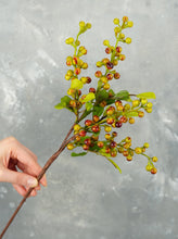 Load image into Gallery viewer, 21&quot; Faux Berry Stem - Red &amp; Green
