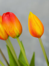 Load image into Gallery viewer, 5 Stems Faux Tulip - Orange
