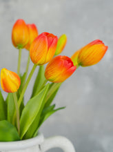 Load image into Gallery viewer, 5 Stems Faux Tulip - Orange
