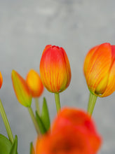 Load image into Gallery viewer, 5 Stems Faux Tulip - Orange
