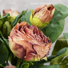 Load image into Gallery viewer, 2 Heads Dried Look Peony - Coffee
