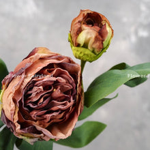 Load image into Gallery viewer, 2 Heads Dried Look Peony - Coffee
