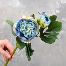 Load image into Gallery viewer, 2 Heads Dried Look Peony - Blue
