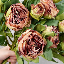 Load image into Gallery viewer, 2 Heads Dried Look Peony - Coffee
